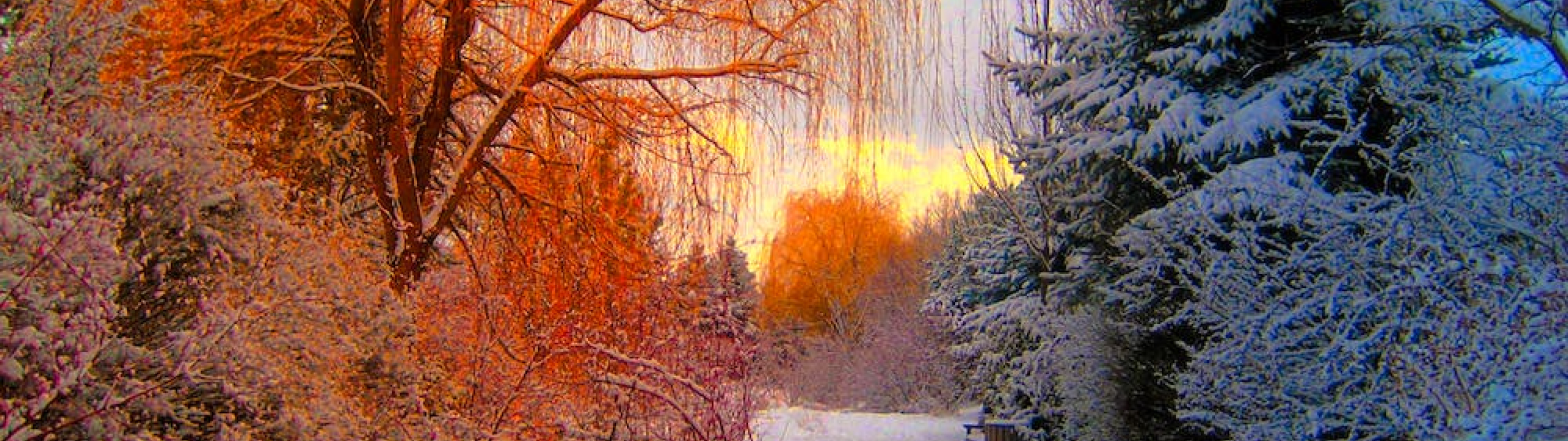 The depths of winter – the warmth of summer