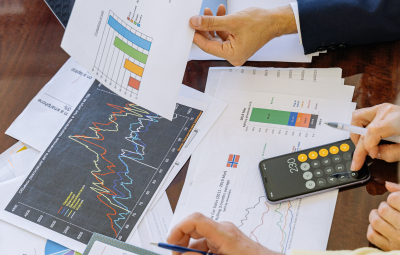Encountering the World of (Official) Statistics