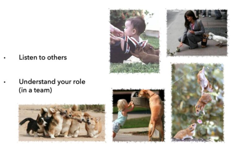 Listen to others; understand your role