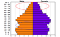 Population graph